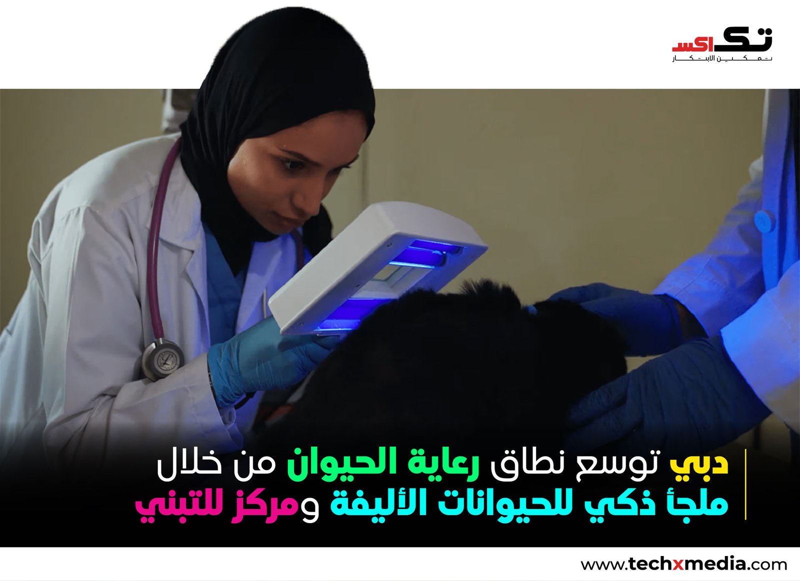 بلدية دبي تفتتح مأوى متكاملاً للحيوانات الأليفة في ورسان