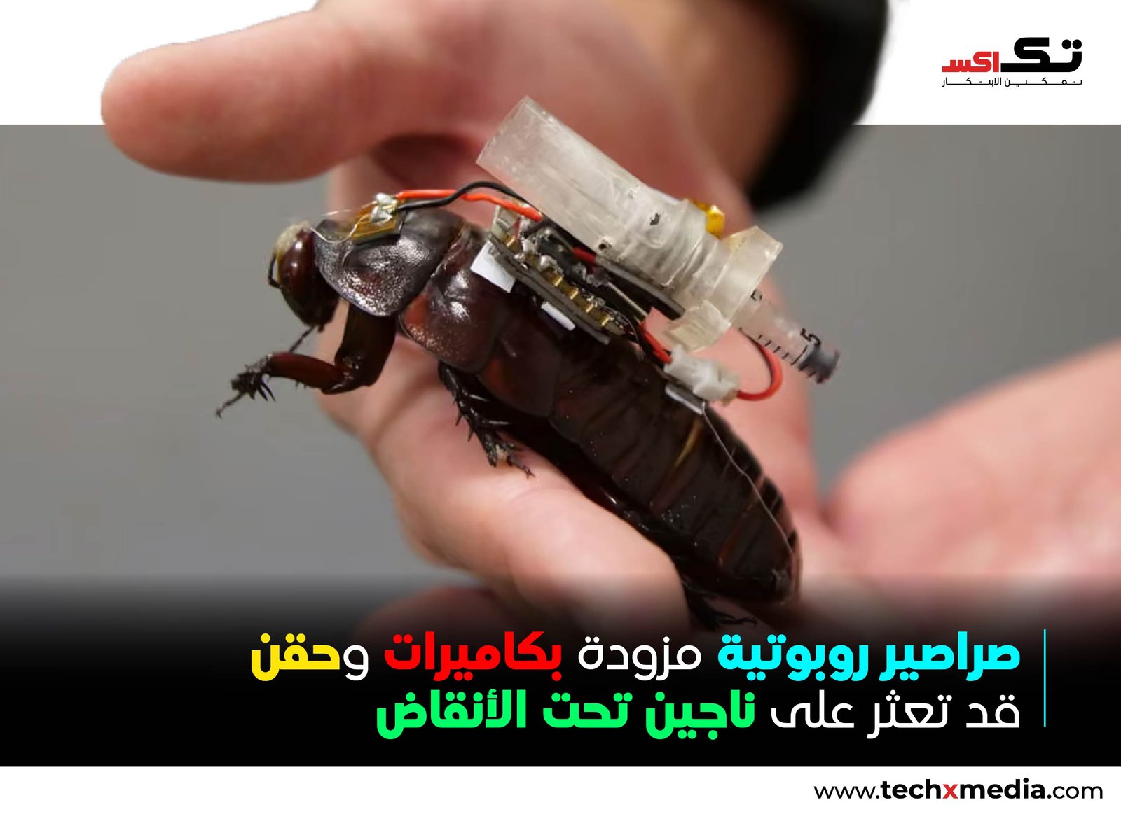 صراصير سايبورغ قد تساعد في إنقاذ الأرواح تحت الأنقاض